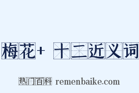 梅花+十二近义词是什么意思的图片